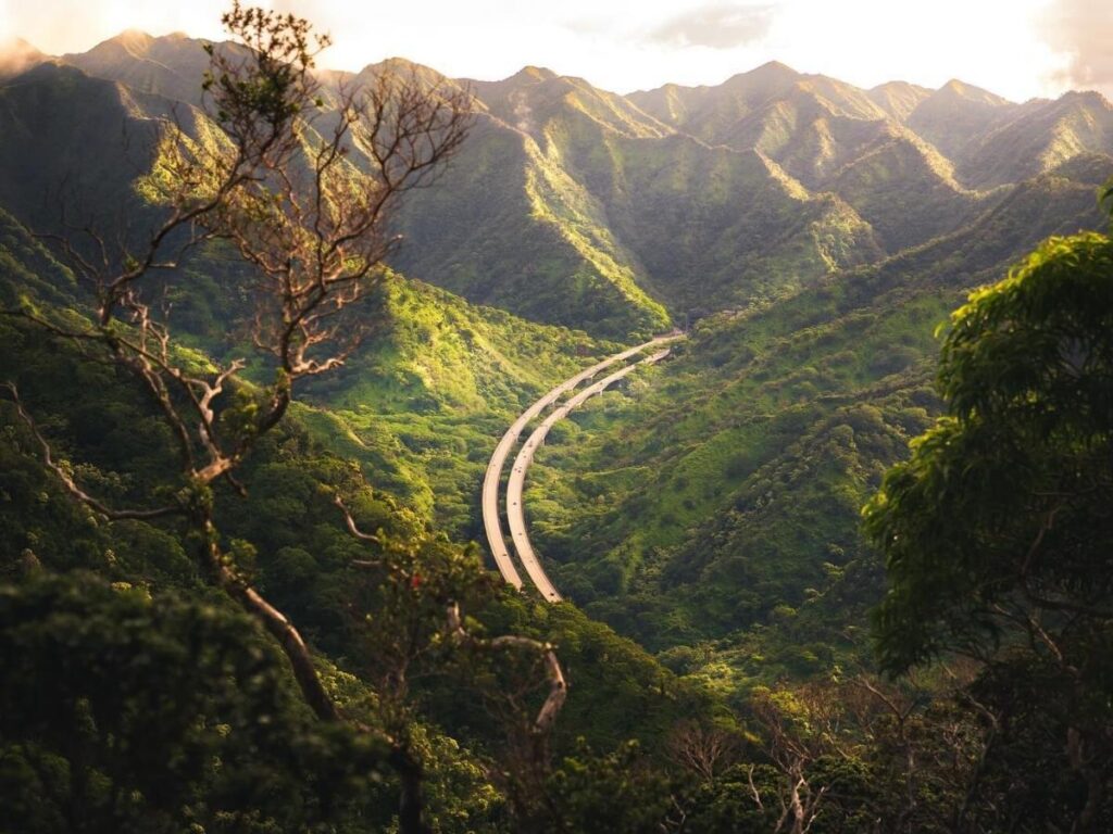 Lush green rainforest landscape in Hilo Hawaii with misty hills