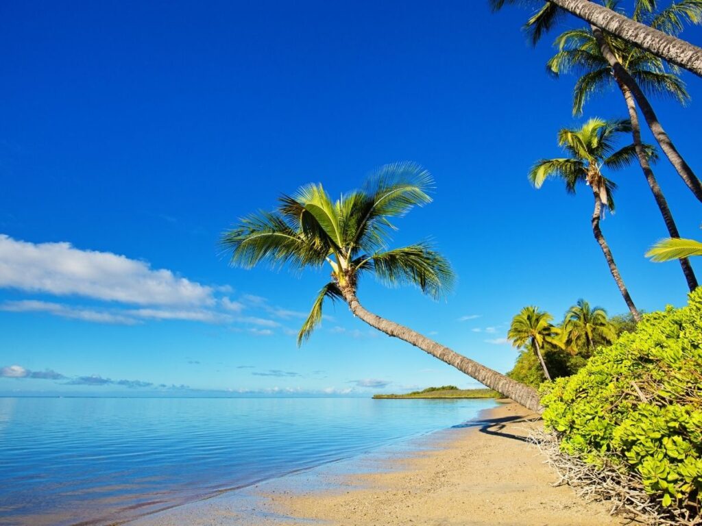 Kakahaiʻa Beach with peaceful shoreline and coastal wetlands on Molokai