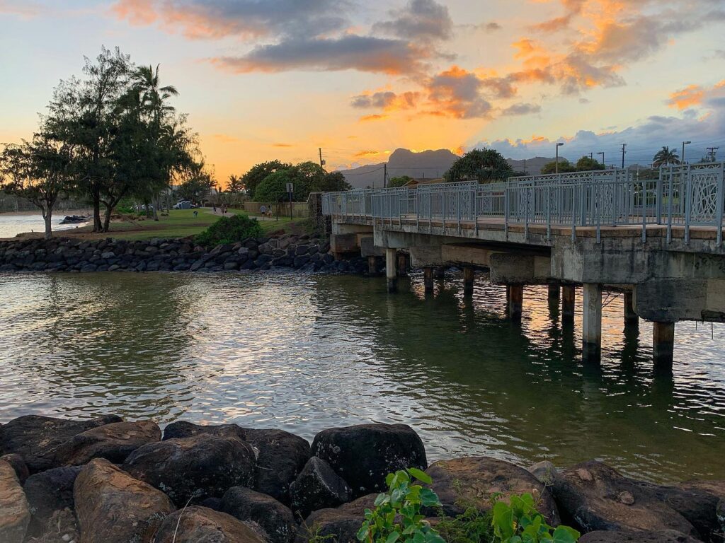 Oceanfront bike path in Kapaa lined with palm trees and murals