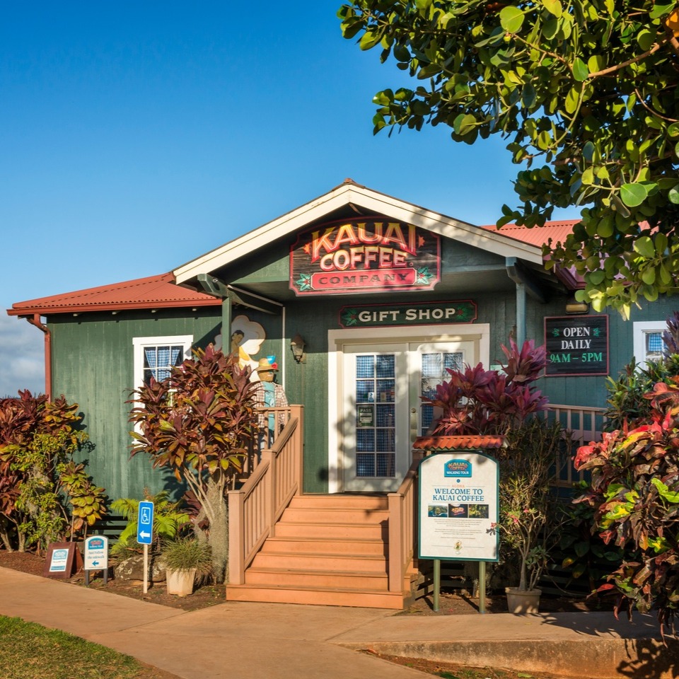 Coffee trees and tasting area at Kauai Coffee Company on Kauai