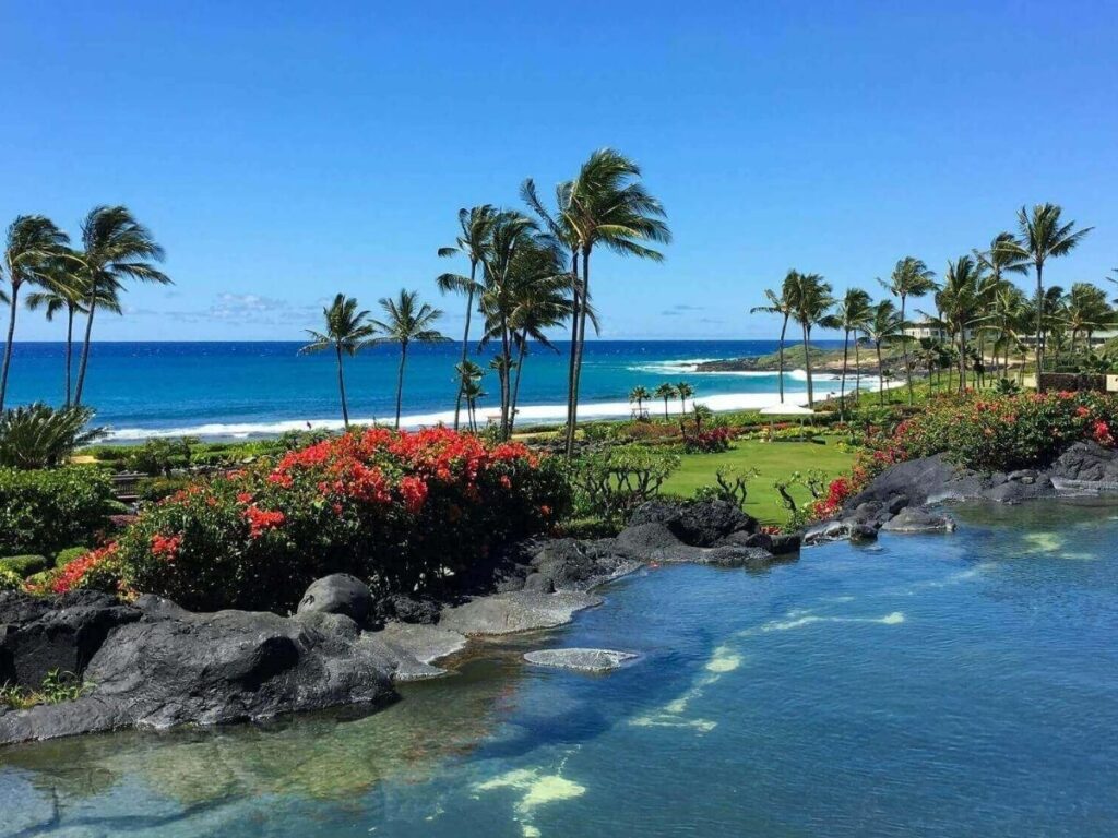 Lush green cliffs and coastline in Kauai state park showing dense tropical landscape