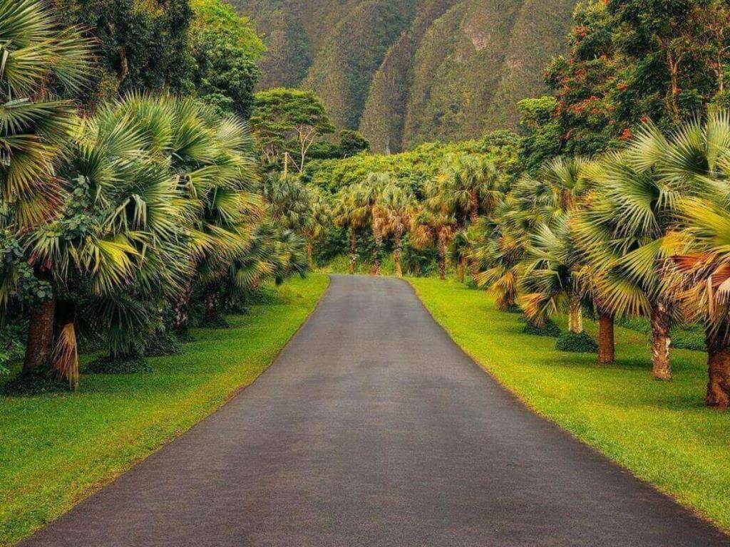 Winding coastal road on Kauai with ocean views