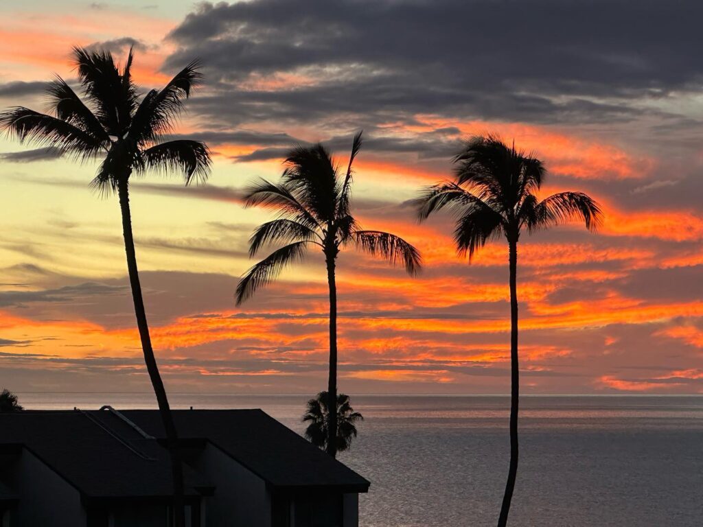 Palm silhouettes framing a golden sunset at Kamaʻole Beach III