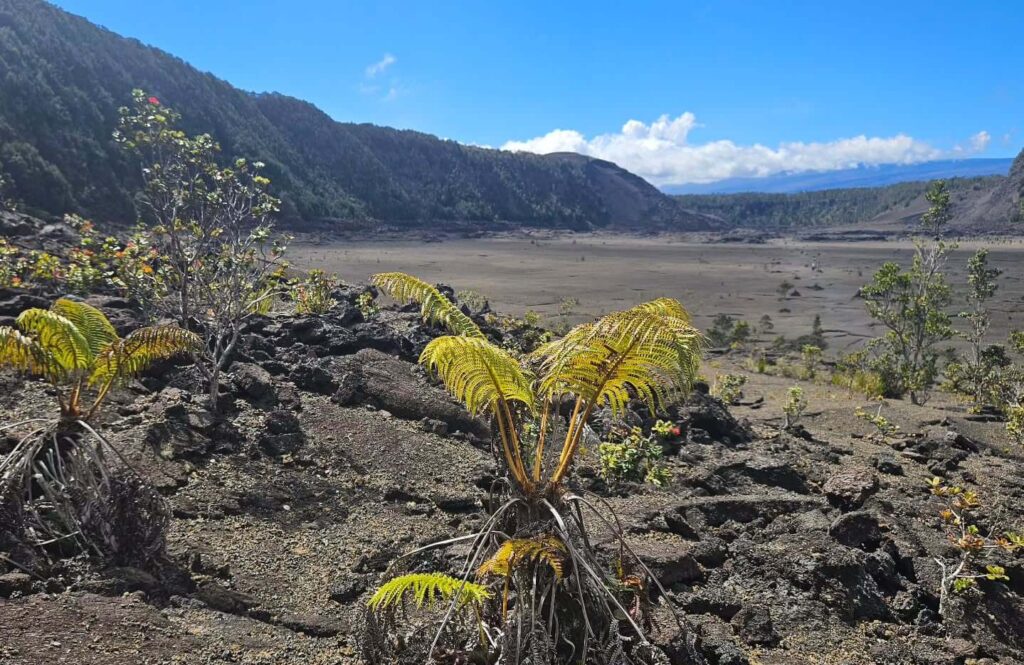 Hikers walking across hardened lava on the Kīlauea Iki crater floor