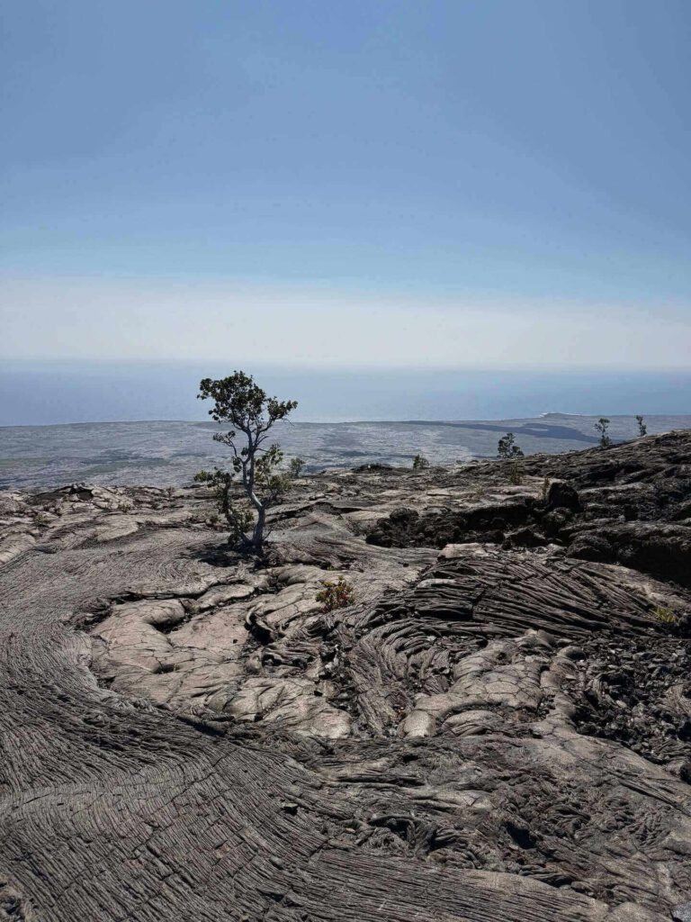 Hikers crossing the hardened lava lake on Kīlauea Iki Trail in Hawaiʻi Volcanoes National Park