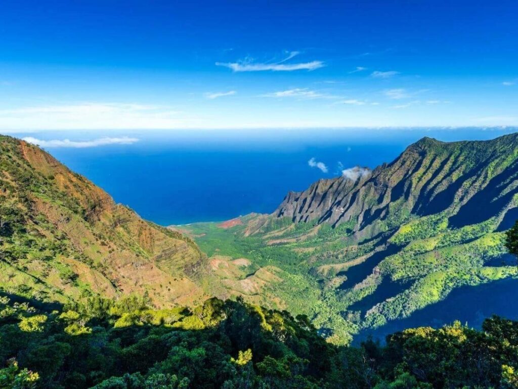 Misty forest trail in Kōkeʻe State Park Kauai with tall trees and cool mountain atmosphere
