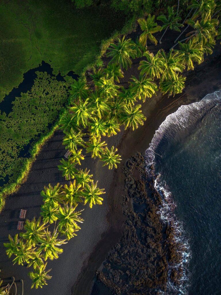 Contrasting dry Kona coastline and lush Hilo rainforest scenery on the Big Island