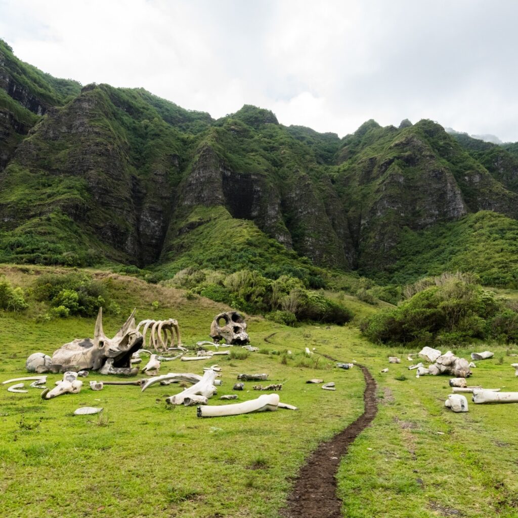 Kualoa Ranch