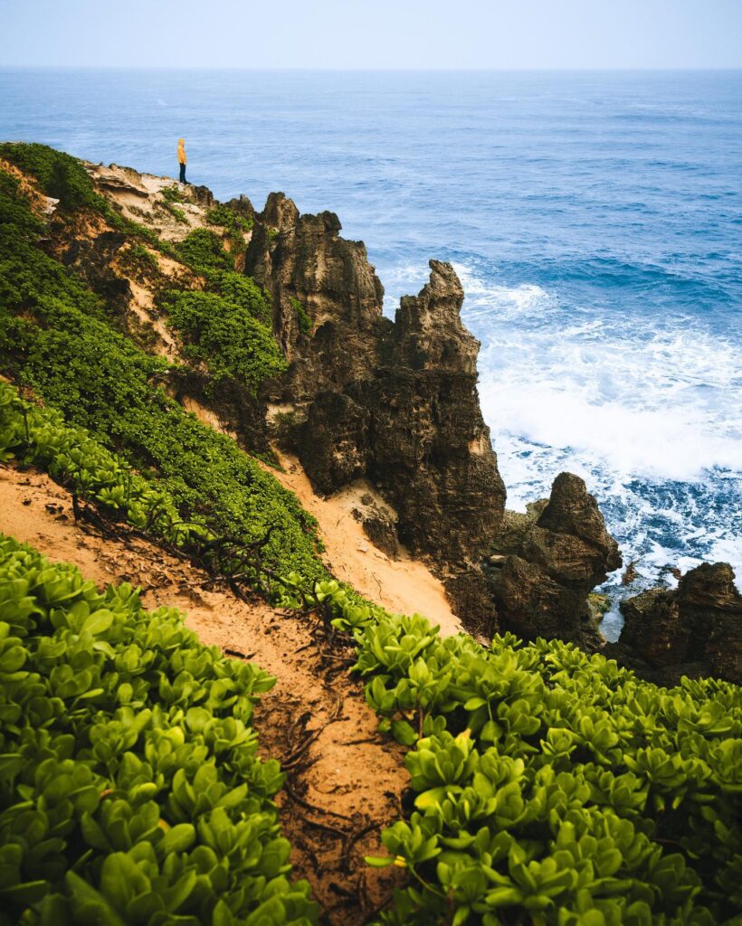 Trail along Kauai’s coastal cliffs with ocean crashing below