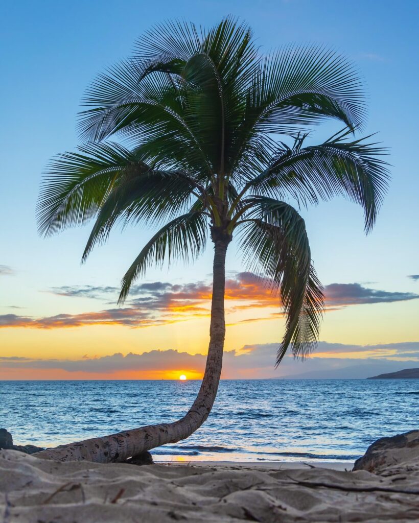 Mai Poina ‘Oe Ia’u Beach