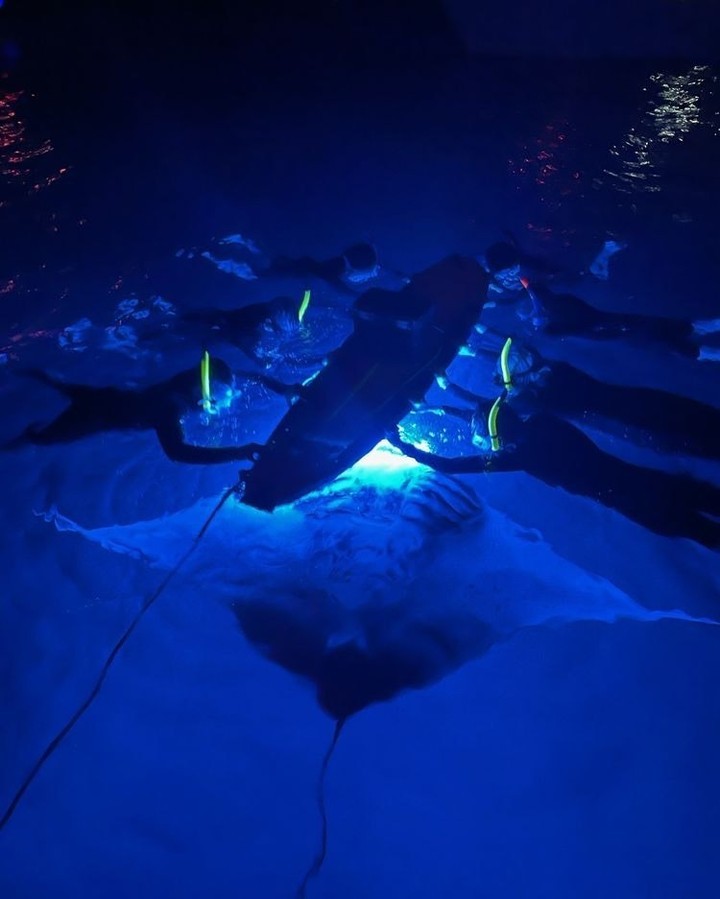 Manta rays swimming beneath snorkelers off the Kona Coast at night