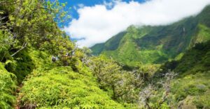 Maui State Parks
