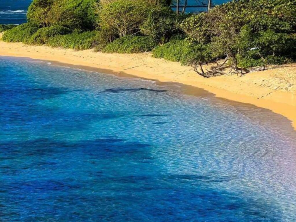 Winding coastal road on Molokai’s lush east side