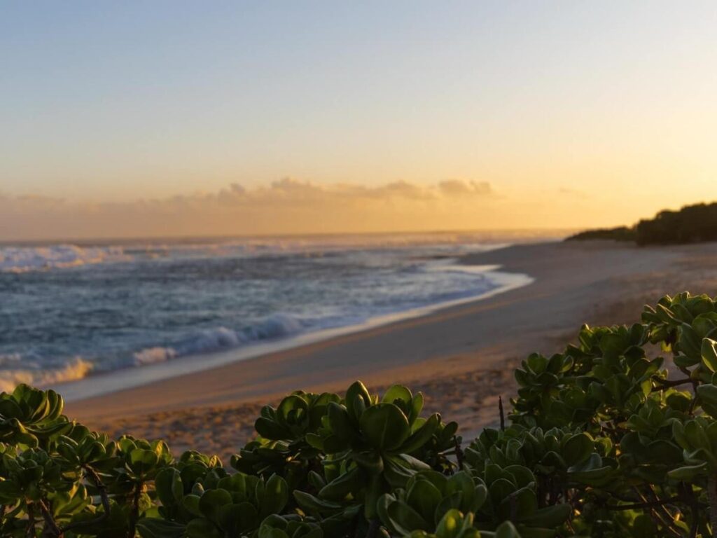 olo traveler sitting quietly overlooking the ocean on Molokai