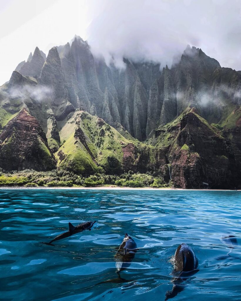 Catamaran sailing past Na Pali cliffs with dolphins jumping nearby