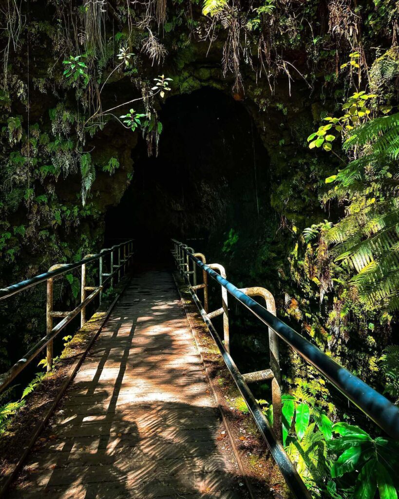 Entrance to Nāhuku lava tube surrounded by rainforest in Hawaiʻi Volcanoes National Park