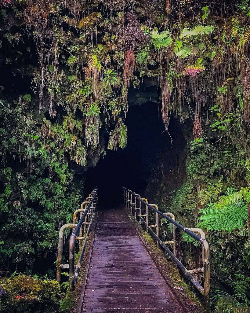 Entrance to Nāhuku lava tube along a rainforest trail in Hawaiʻi Volcanoes National Park
