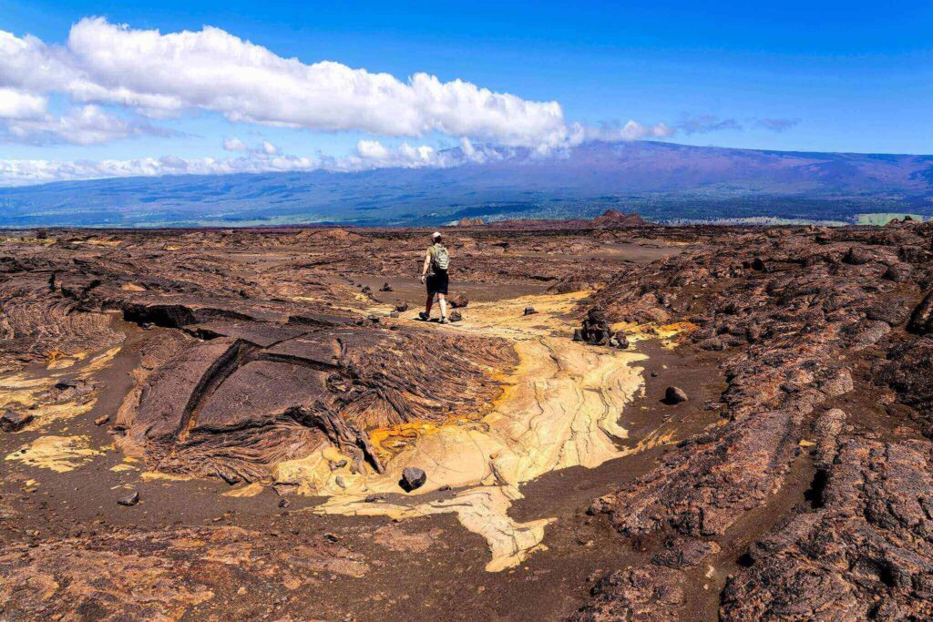 Volcanic landscape along Nāpau Trail in the East Rift Zone of Hawaiʻi Volcanoes National Park