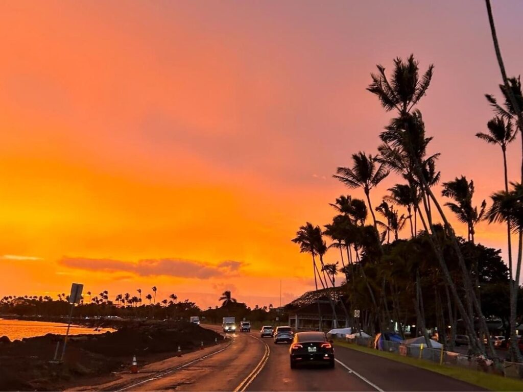 Scenic coastal road north of Hilo with lush greenery and ocean views