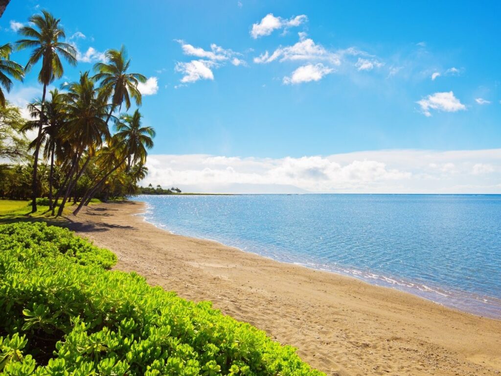 One Aliʻi Beach Park near Kaunakakai with calm water, palm trees, and picnic area