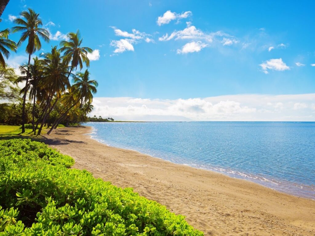 Calm shoreline at One Aliʻi Beach Park on Molokai with palm trees and picnic area