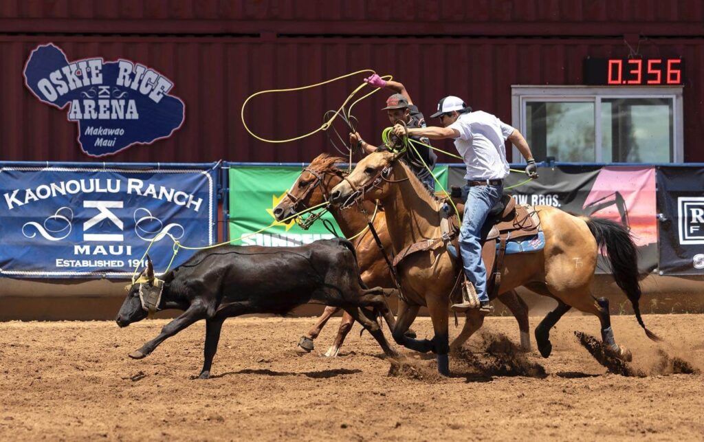Hawaiian cowboy riding a horse at Oskie Rice Arena in Makawao