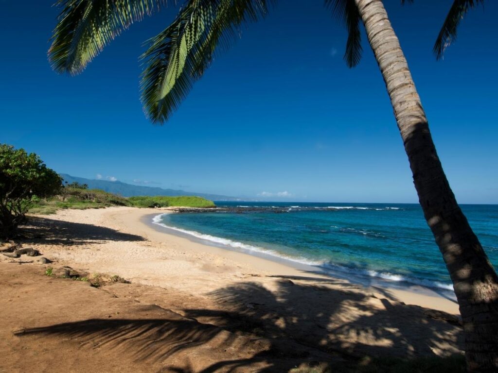 Windswept beach near Paia on Maui’s north shore