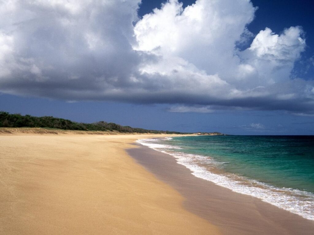 Strong winter waves at Papohaku Beach on Molokai