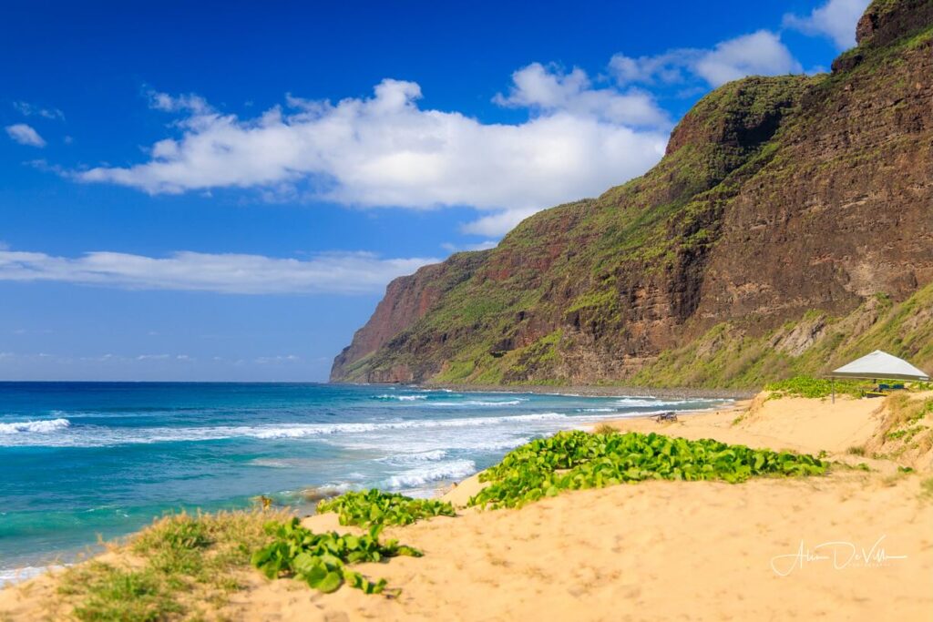 Sunny summer day at Polihale State Park with calm ocean and clear skies