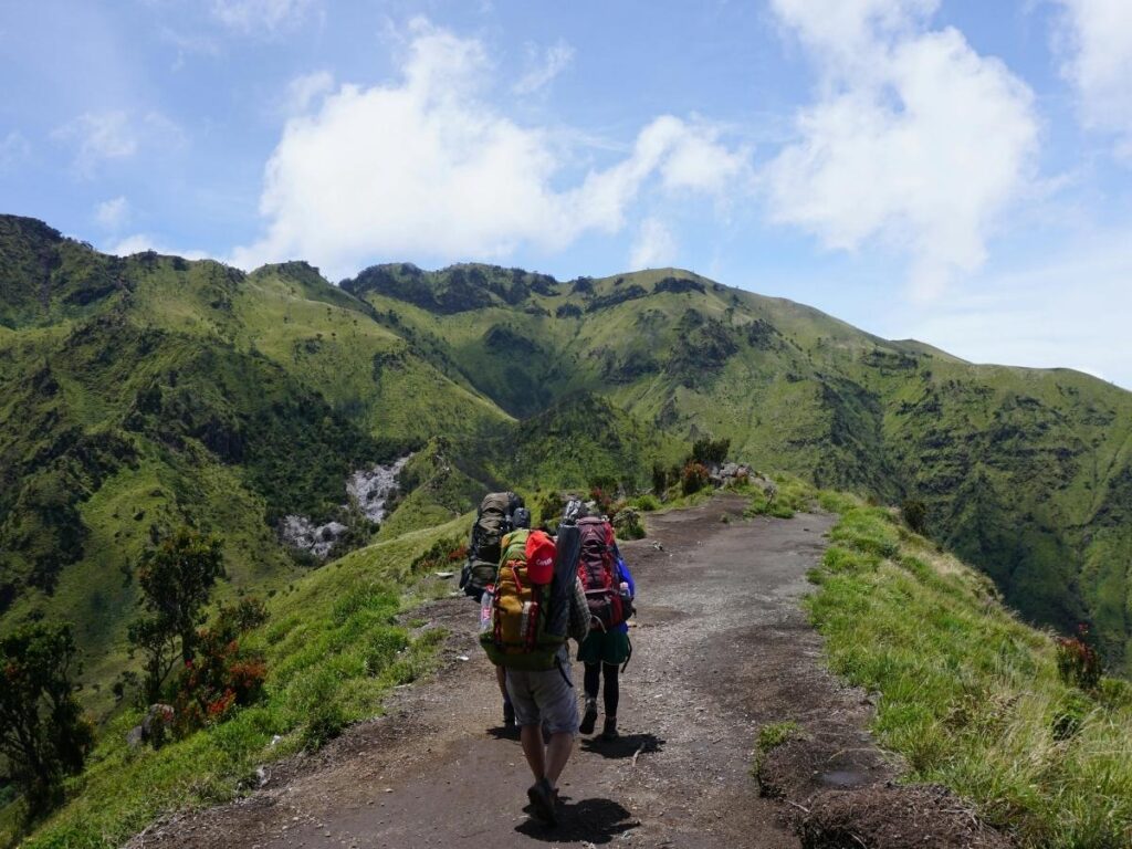 Hiking trail descending into Pololū Valley on the Big Island of Hawaii