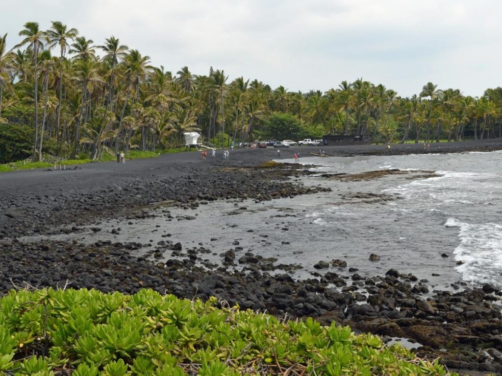 Black volcanic sand and palm trees at Punaluʻu Black Sand Beach