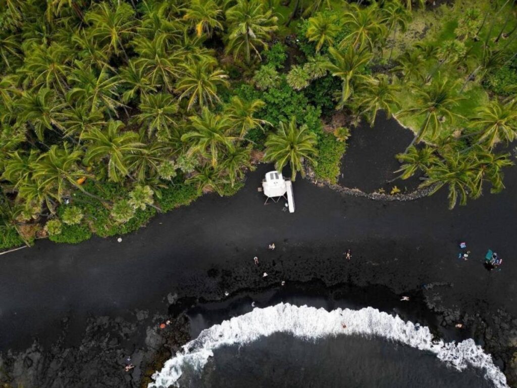 Punaluʻu black sand beach with palm trees on the Big Island of Hawaii