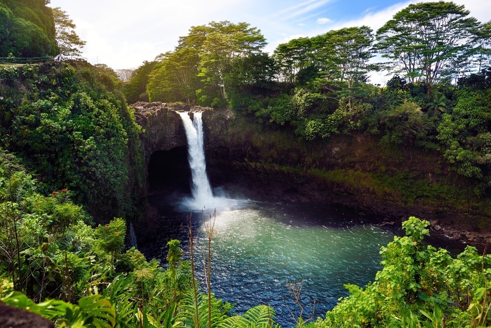 Rainbow Falls flowing into a lush rainforest near Hilo, Hawaii