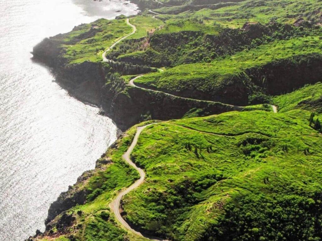Curving Road to Hana surrounded by tropical rainforest