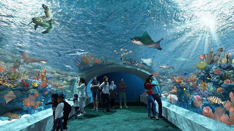 Shedd Aquarium on Chicago's Museum Campus
