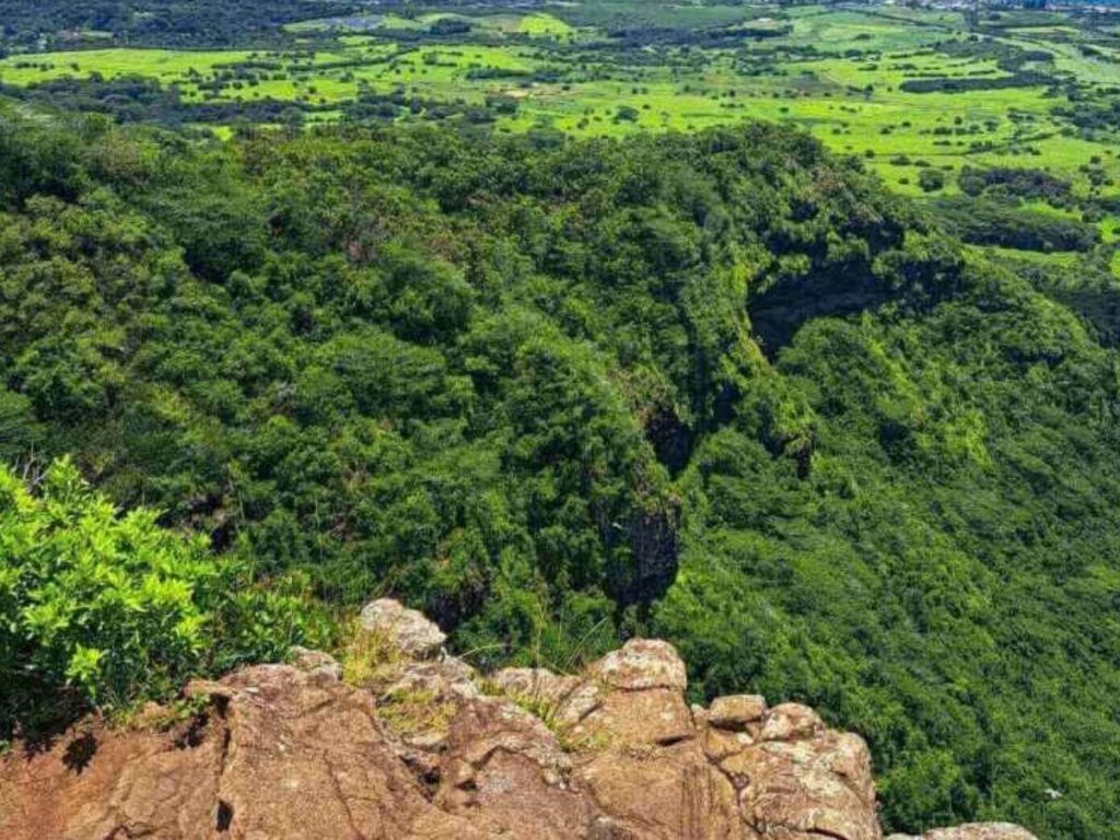 View from Sleeping Giant hike overlooking the east coast of Kauai