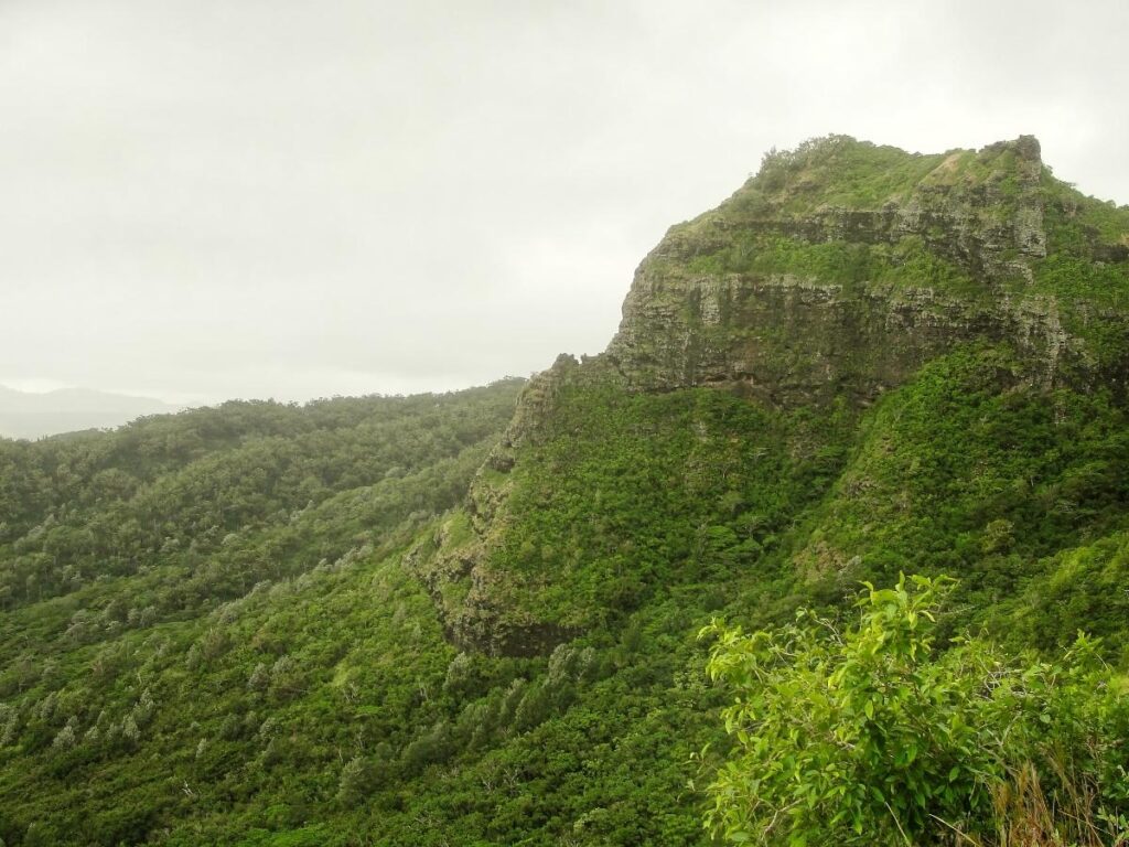 Hiking trail on Nounou Mountain State Wayside in Kauai