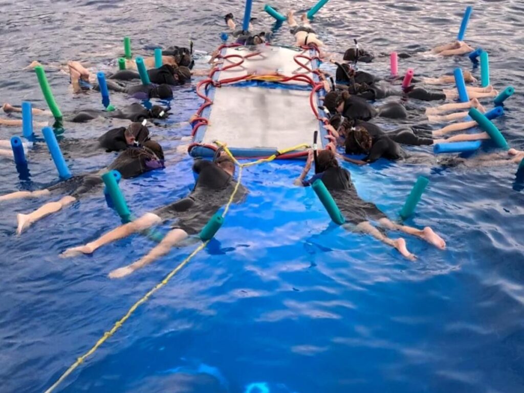 Snorkeling in clear blue water off the Kona coast
