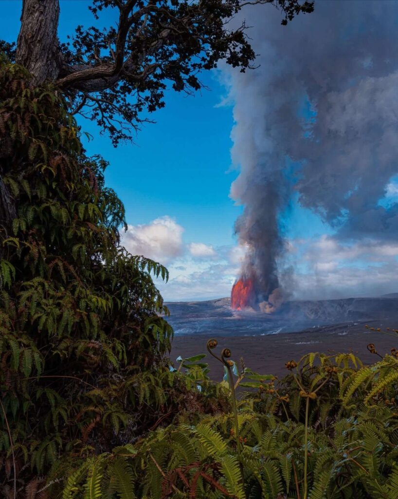 Lush green landscape and spring scenery on Hawaii's Big Island
