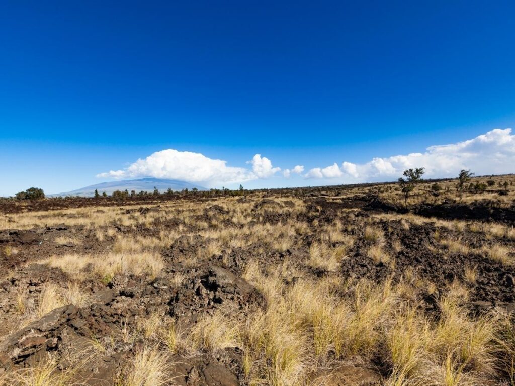View of volcanic landscape from Mauna Ulu Trail overlook in Hawaiʻi Volcanoes National Park