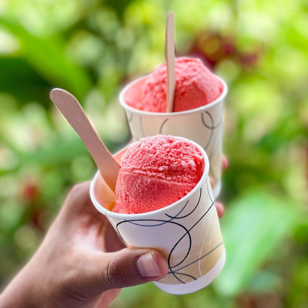 Strawberry Guri-Guri ice cream cups at Tasaka Guri-Guri in Kahului