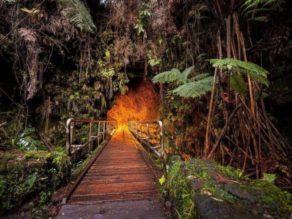 Entrance to Thurston Lava Tube surrounded by rainforest in Hawaii Volcanoes National Park