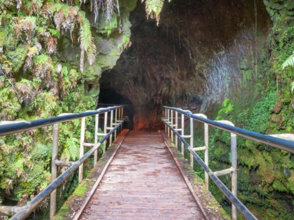 Inside Thurston Lava Tube at Hawaiʻi Volcanoes National Park