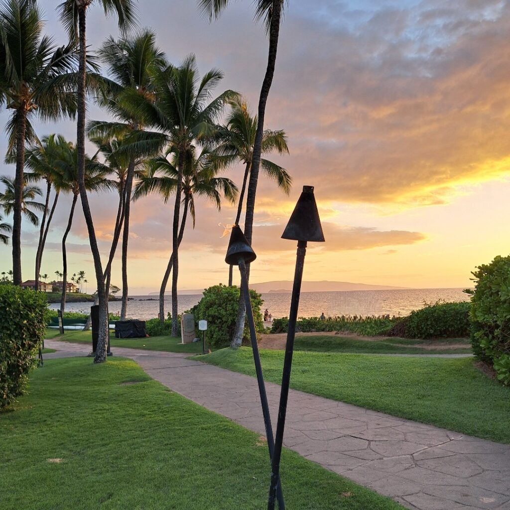 Oceanfront paved trail winding past resort gardens at sunrise