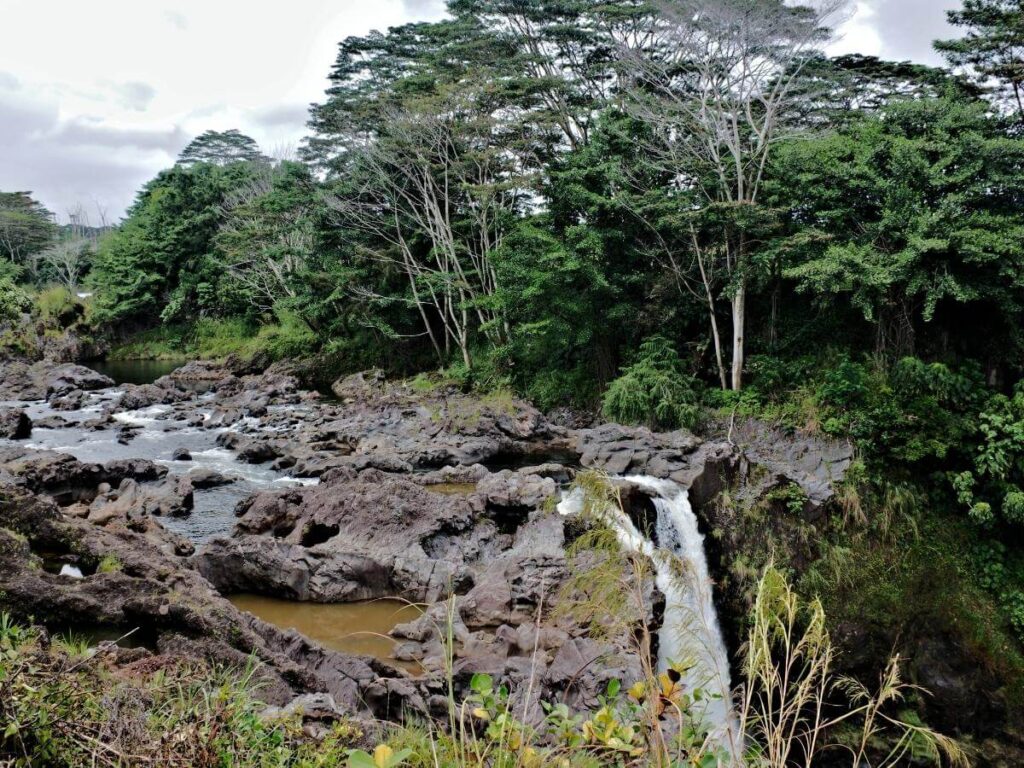 Tropical rainforest and banyan trees surrounding the Wailuku River