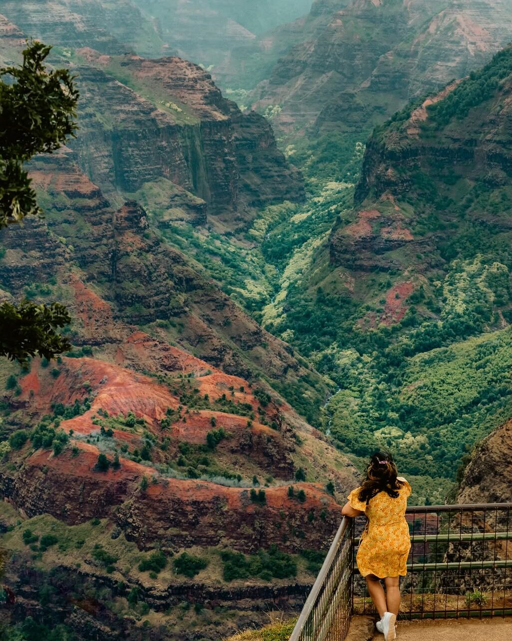 Layered red cliffs and green valleys of Waimea Canyon