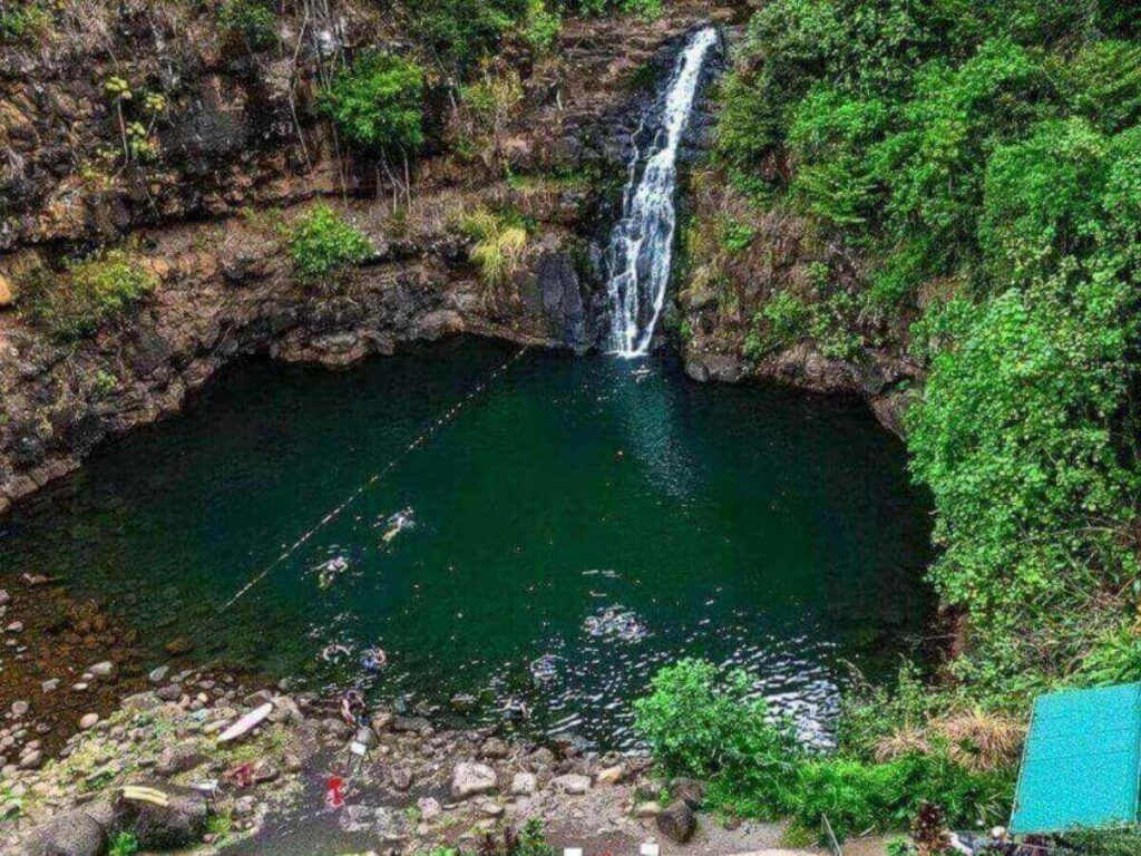 Waimea Canyon lookout with red cliffs and green valleys on Kauai