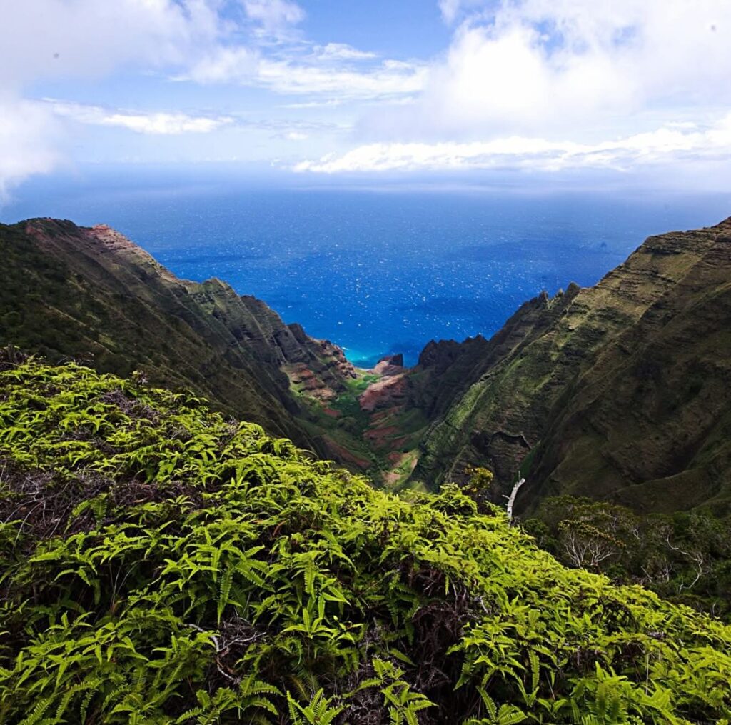 Scenic overlook at Waimea Canyon on Kauai's West Side