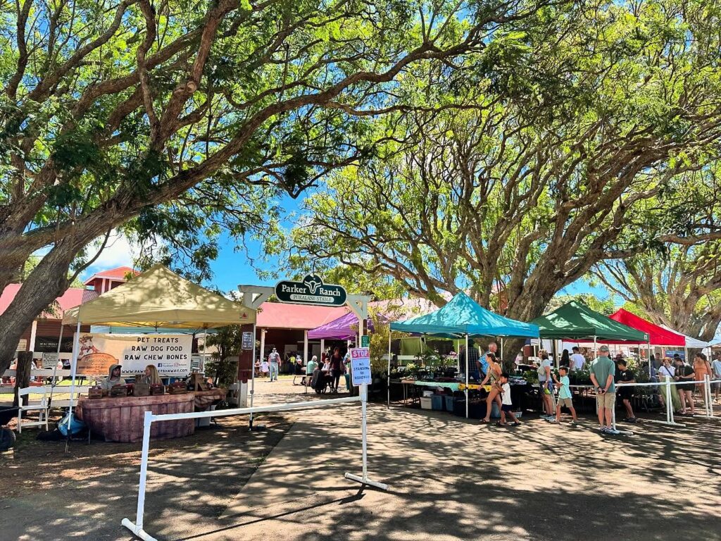 Waimea Farmers Market on the Big Island