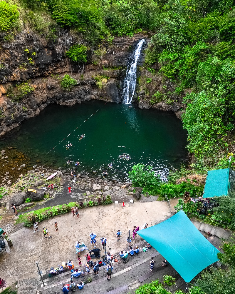 Swimmable waterfall surrounded by jungle at Waimea Valley, Oahu